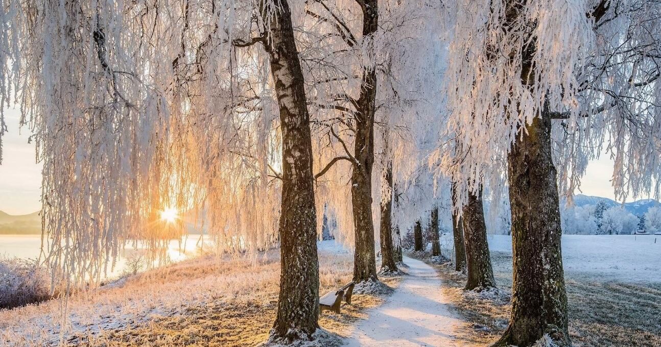 Pacific North West Spoonie Newsletter